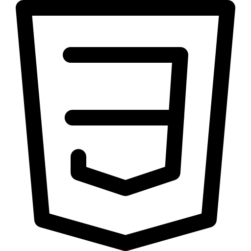 css3